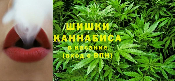 a pvp Алзамай