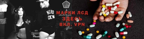 сатива Алексеевка