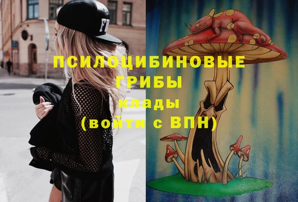 a pvp Алзамай