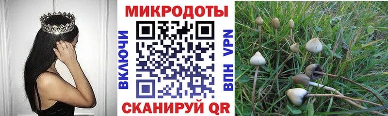Псилоцибиновые грибы Cubensis  darknet официальный сайт  Туймазы 